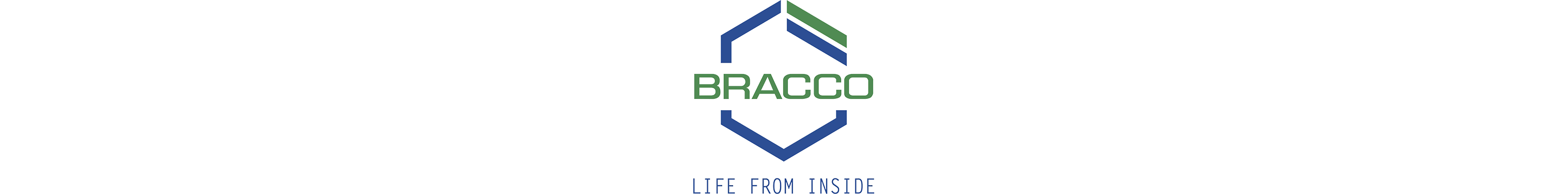 Logo Bracco Desktop.png